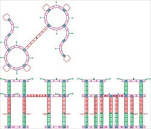 Load image into Gallery viewer, 20ft x 20ft Island Orion Orbital Express Truss Display
