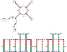 Load image into Gallery viewer, 20ft x 20ft Island Vega Orbital Express Truss Display
