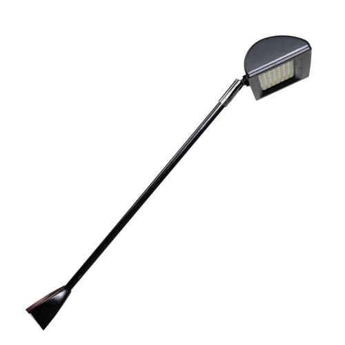 Lumina 7 LED Flood Display Light