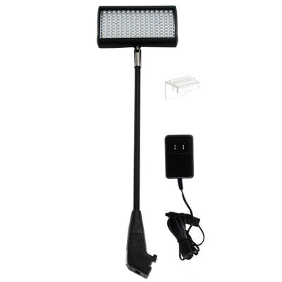 Lumiere LED Light