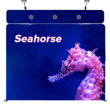 Load image into Gallery viewer, 10ft Seahorse B Waveline Media Display | Tension Fabric Exhibit | expogoods.com
