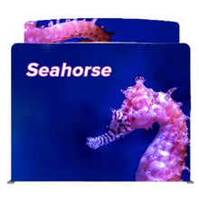 Load image into Gallery viewer, 10ft Seahorse C Waveline Media Display | Tension Fabric Exhibit | expogoods.com

